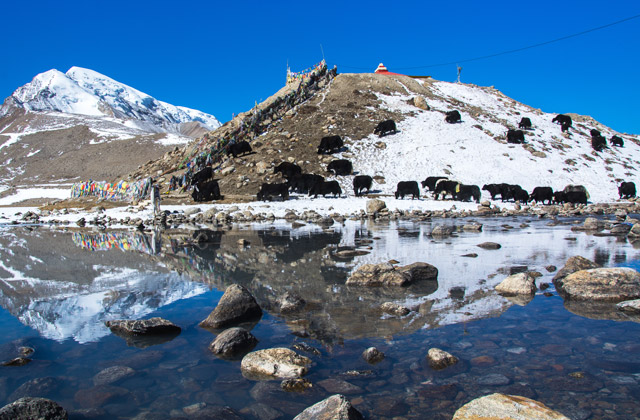 Sikkim Tour
